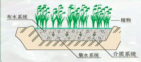 垂直潛流人工濕地污水處理