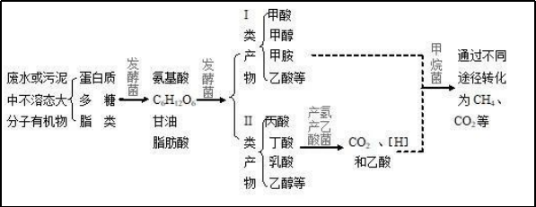 水解酸化